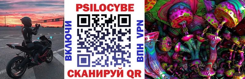 Псилоцибиновые грибы Psilocybine cubensis блэк спрут зеркало Артём